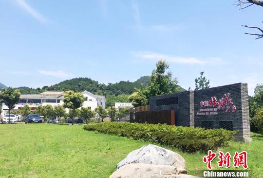 河头村。 张斌 摄
