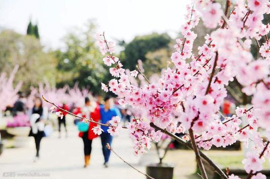 波市眼科医院一周接诊30多例过敏性结膜炎患