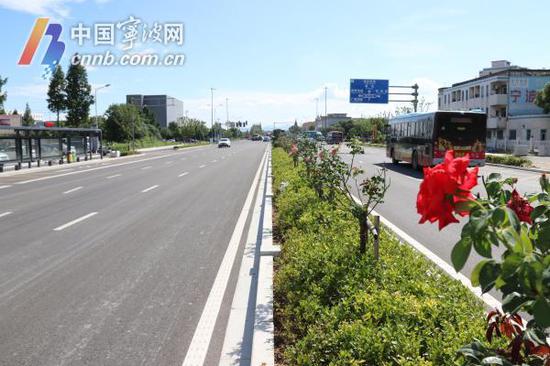 图为全面修复后的雅戈尔大道。