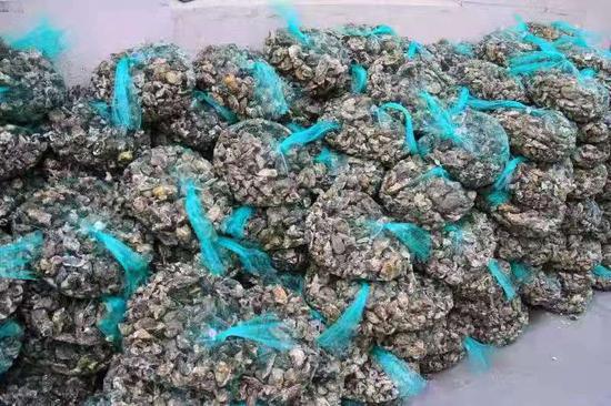 图为强蛟镇海鲜 。 吴立高 摄