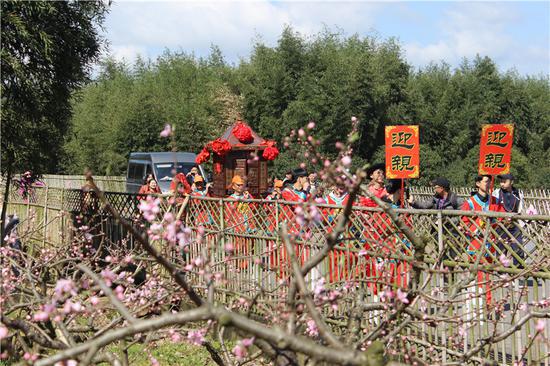 图为活动现场。 卓建青 摄