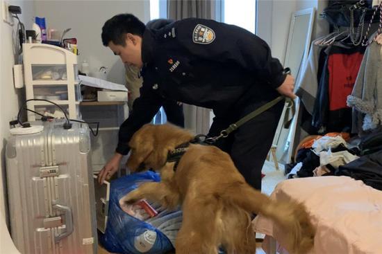 图为宁波海关携犬搜查 宁波海关供图