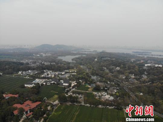图为杭州。 张煜欢 摄