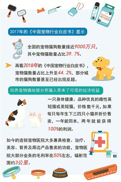 张悦制图