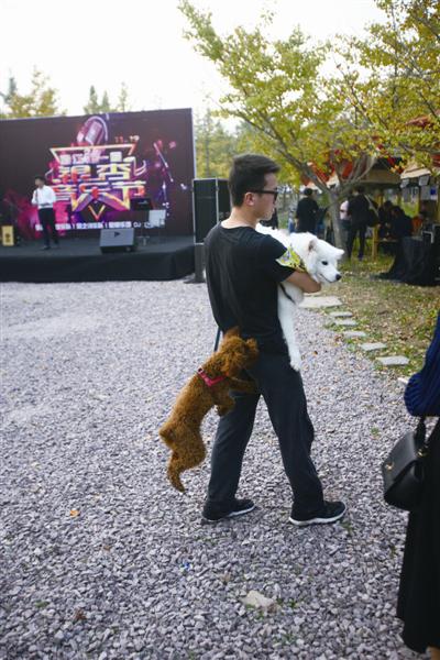 泰迪犬扑向萨摩耶犬,主人只能将爱犬抱起来避免冲突。