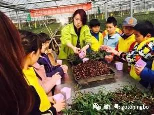 温馨提醒:以景区实际情况为准