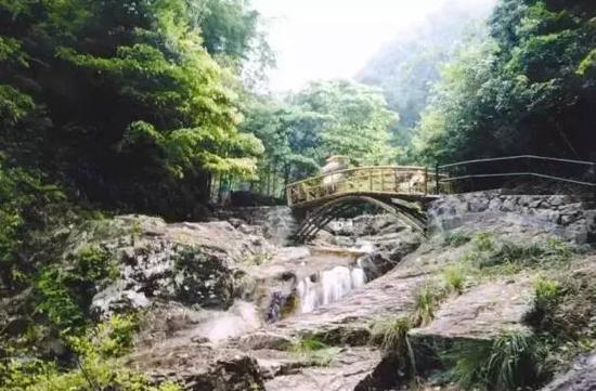 宁海森林温泉
