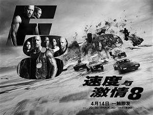 v《速度与激情8》海报