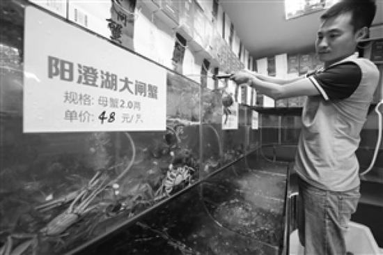 从9月23日,彩虹南路上一家专卖店里,大闸蟹开卖