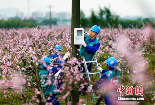 电力工作人员深入田间地头美丽乡村建设 摄影:王幕宾