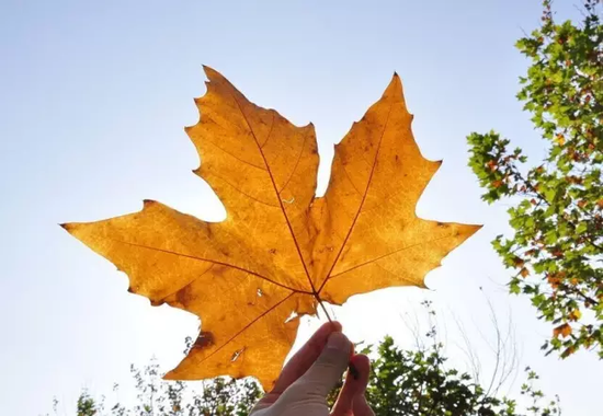 宁波新的一月阳光延续 周五冷空气南下气温下