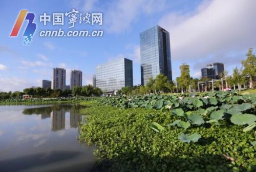高新区大东江
