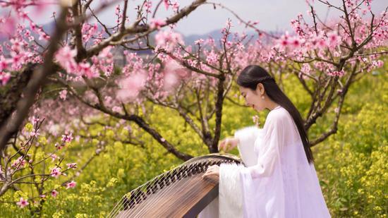 图为奉化桃花盛开。奉化新闻办提供