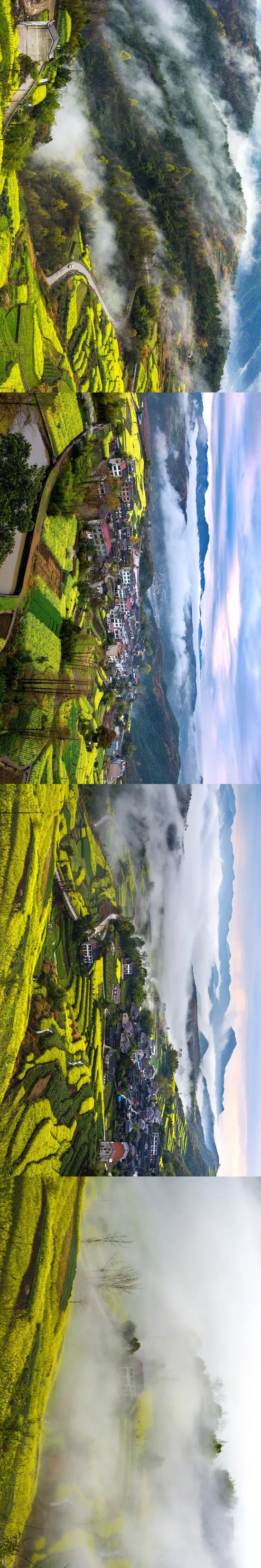 △图片由桑洲镇旅游办提供