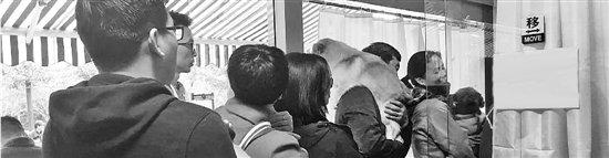 “你好,这里是给狗狗打疫苗办证的地方吗?”