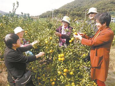 “爱心旅游直通车”计生特殊家庭专车游览九龙湖活动。(市旅发委供图)