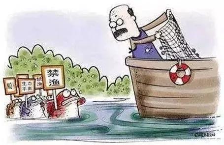 当然,不只是梭子蟹!