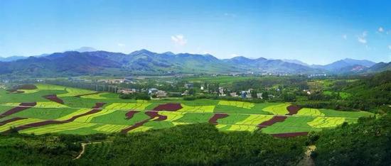 中央财政补奖资金支出方向: