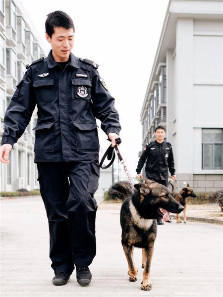 图为新年新犬上新岗 甬关 摄