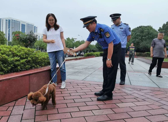 宁波部署下阶段六大关键任务文明养犬规范内容升级 新浪宁波 新浪网