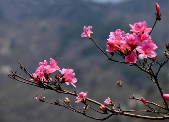 五龙潭风景名胜区