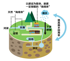宁波海绵城市建设正当时 地表也能透气呼吸