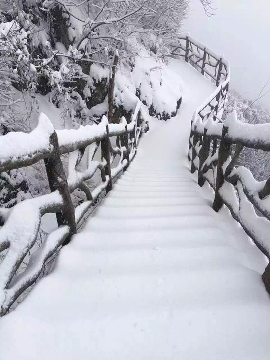 四明山积雪最深已达30厘米。图片由余姚市气象局提供