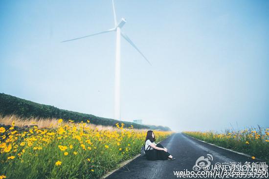 宁波最美风车公路网上爆红 众多游客留下遍地