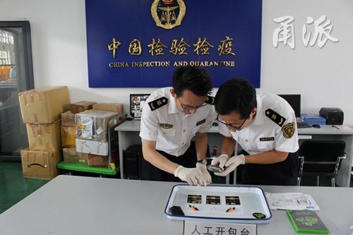 宁波邮路口岸首次截获大麻种子
