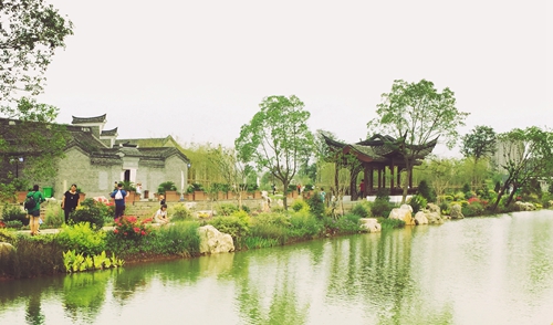 宁波植物园国庆游客天天爆满 建议由1号门入园