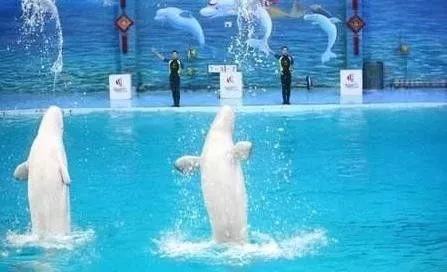 (海洋世界)