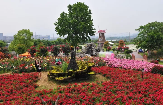 北仑丽盛玫瑰园