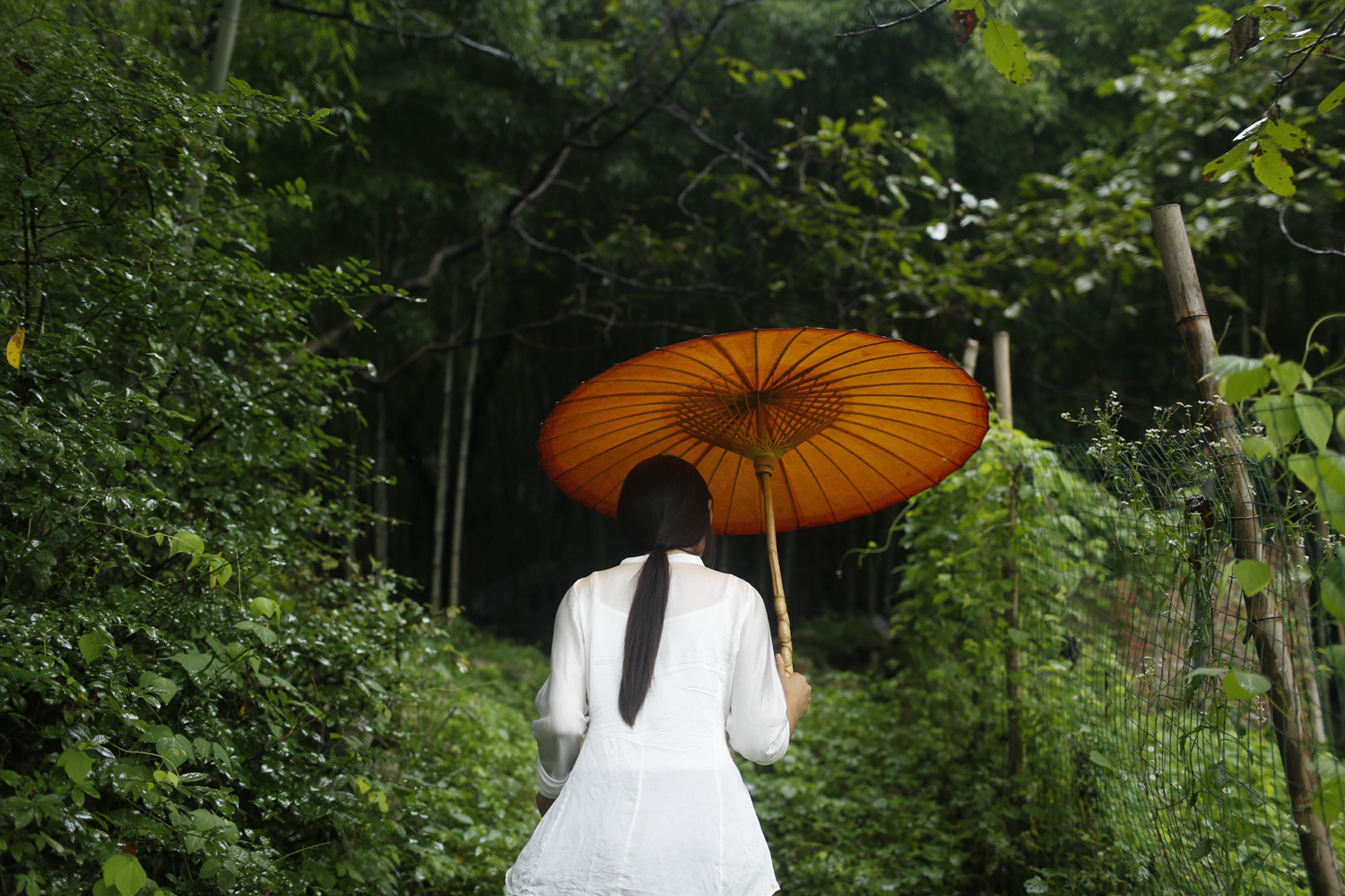 武汉专业做代生,怎样备孕更容易生女孩