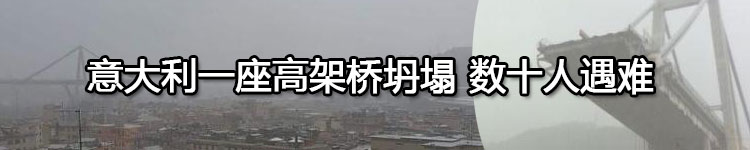 意大利高速公路上一高架桥坍塌 已有数十人遇难