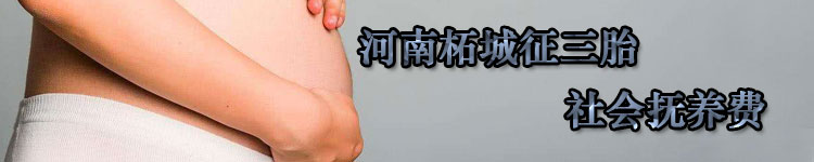 河南柘城征三胎社会抚养费