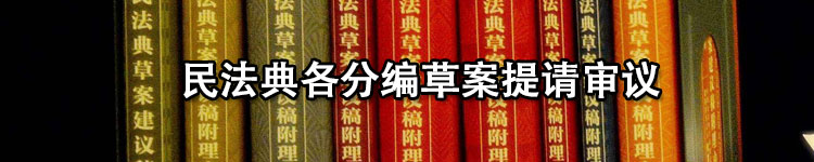 民法典草案提请审议
