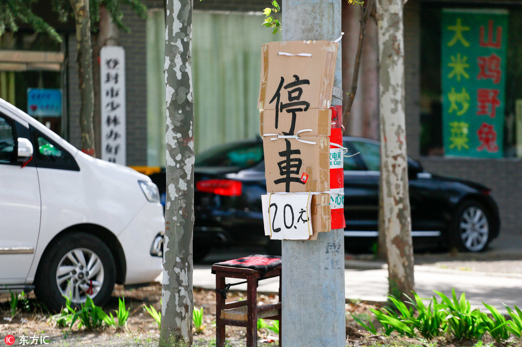 亚欧砖码专区2022，免费在线观看、剧情介绍与演员信息全解析