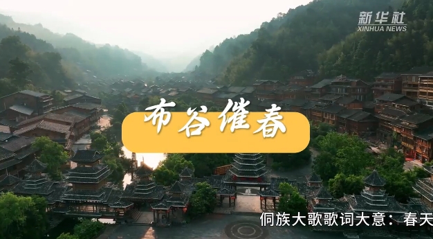 新闻多一点|侗族大歌:传承千年的天籁之音