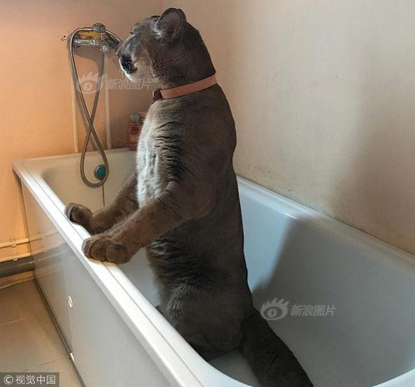 草 榴一区二区三区