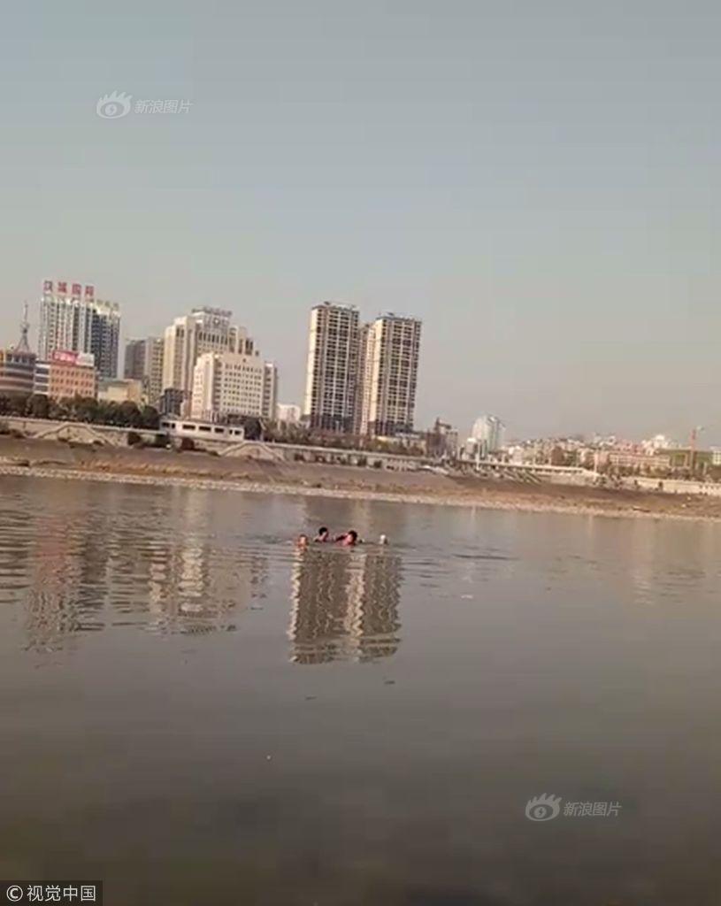 網紅押尾貓