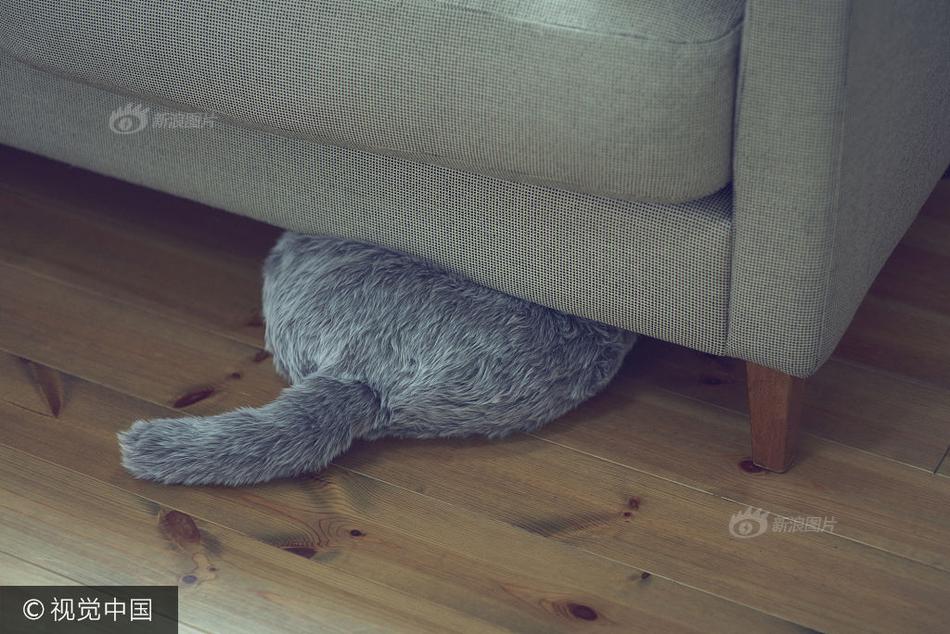 黄色视频三级电影