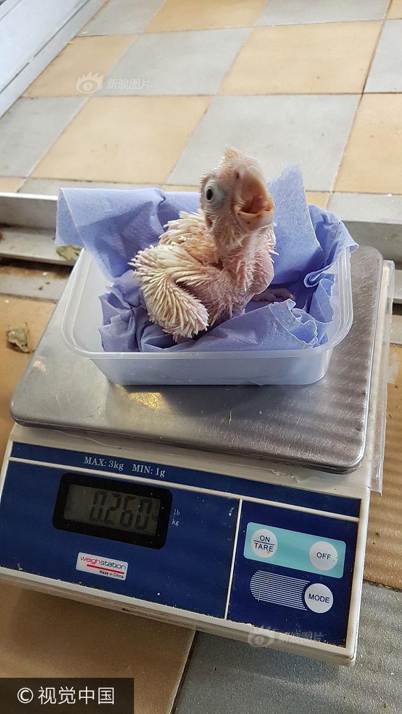 一级黄色录像老女人