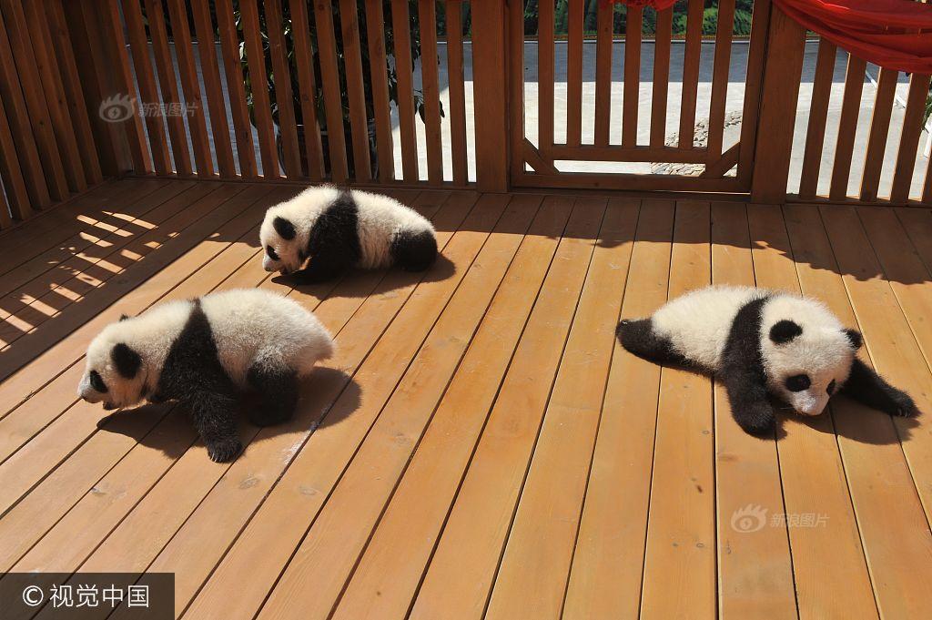 俄罗斯外长拉夫罗夫已抵达北京