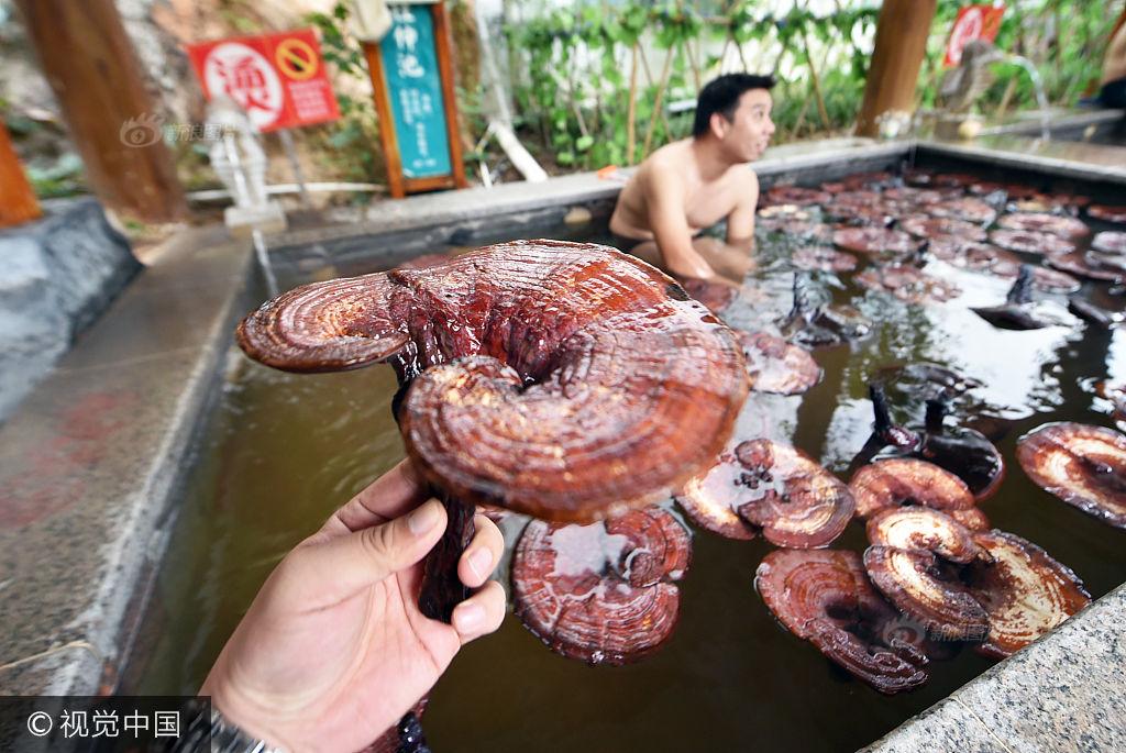 范冰冰的黄片