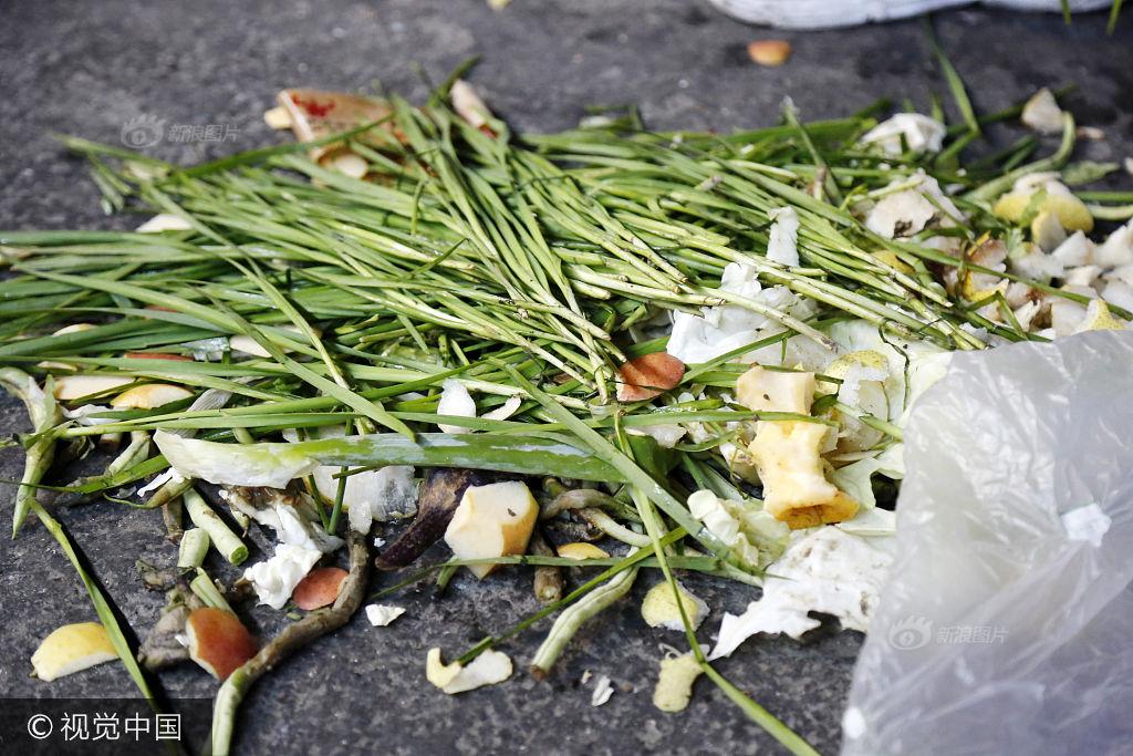 郑州:环卫工大妈捡烂菜叶谋生 多年中秋没回家