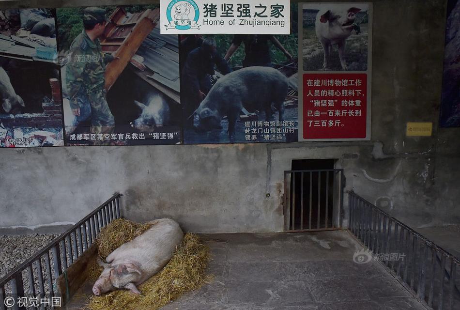 做受???高潮视频