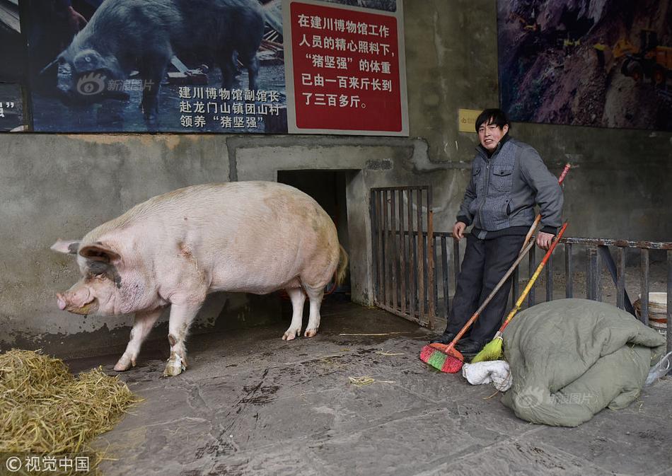 美女乱伦网