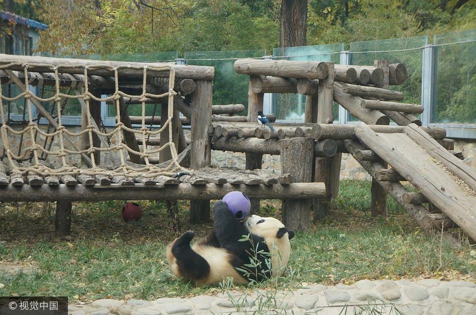 黄油手游大全下载