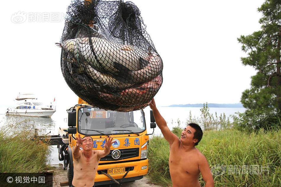 葵司無碼