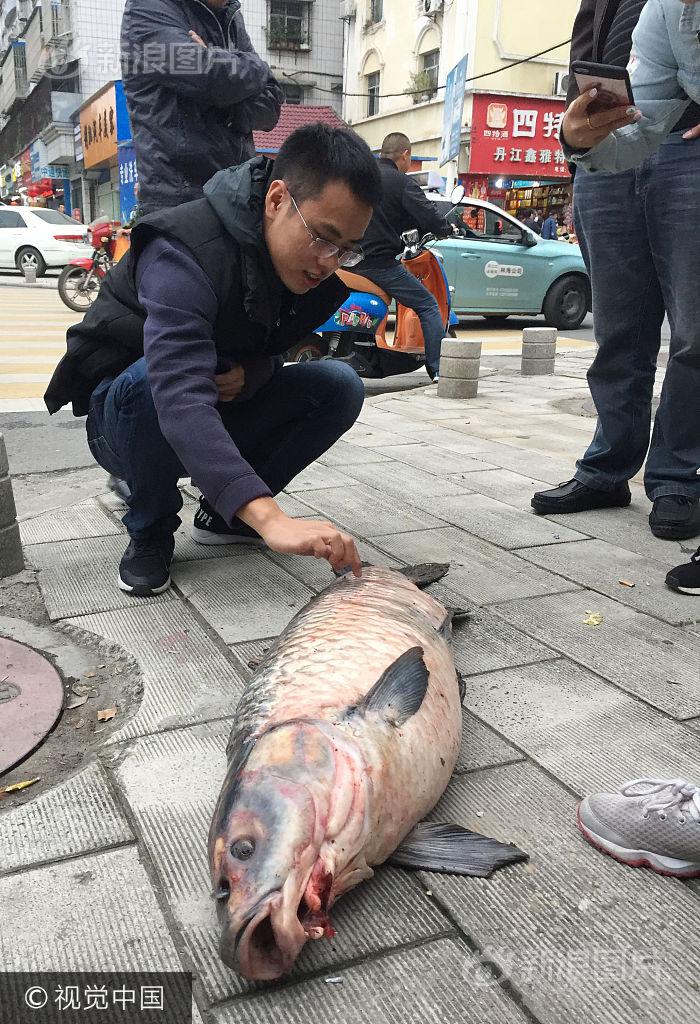 8 8 海外华人永久免费